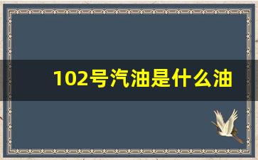 102号汽油是什么油,汽油92 95 98代表什么